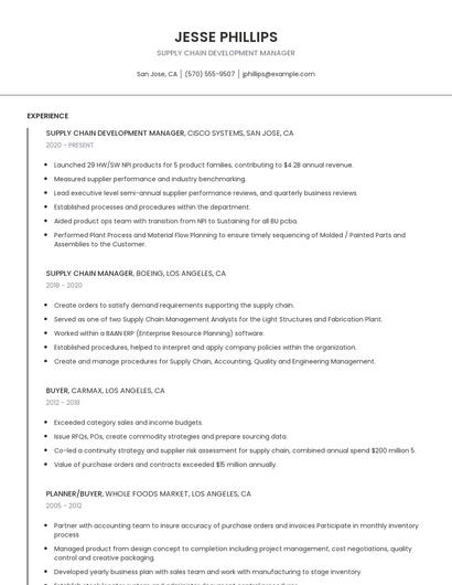 Supply Chain Development Manager Resume