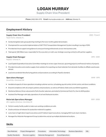 Supply Chain Vice President Resume