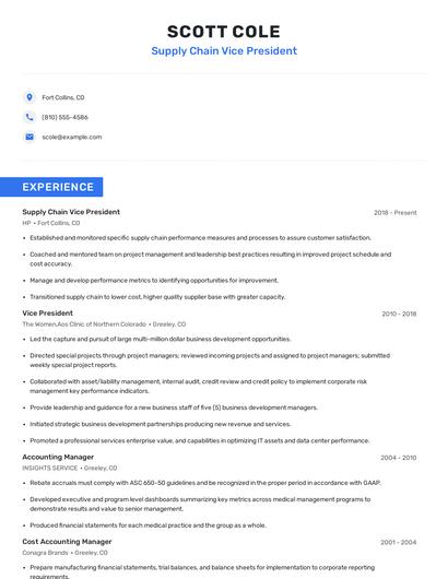 Supply Chain Vice President Resume