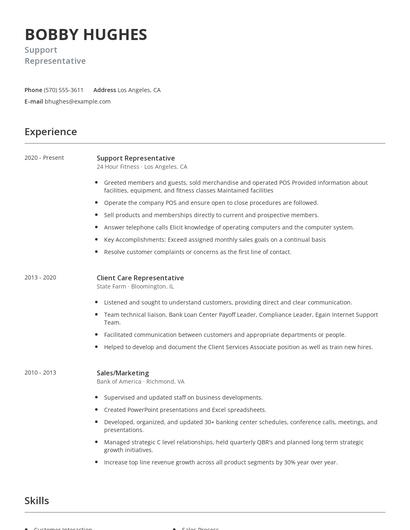 Support Representative Resume