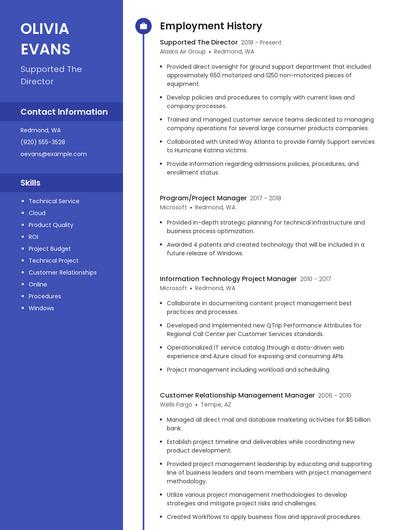 Supported The Director Resume