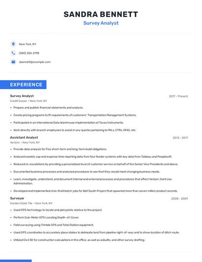 Survey Analyst Resume