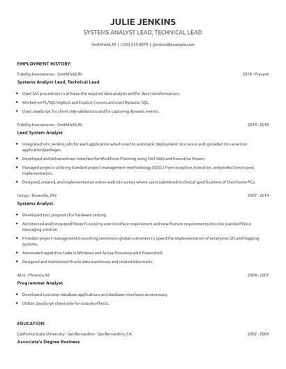 Systems Analyst Lead, Technical Lead Resume
