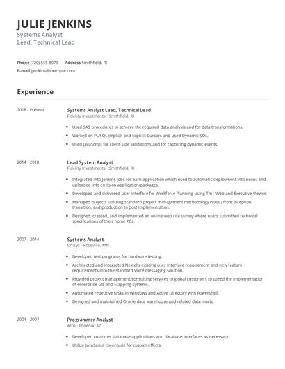 Systems Analyst Lead, Technical Lead Resume