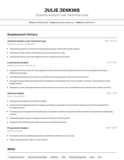 Systems Analyst Lead, Technical Lead Resume