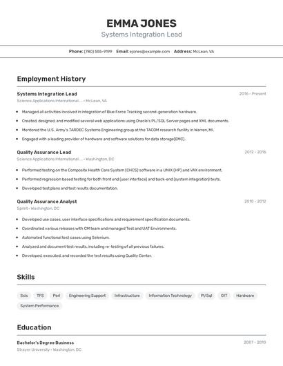 Systems Integration Lead Resume