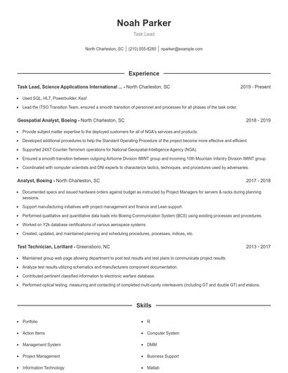 Task Lead Resume