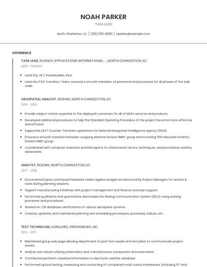 Task Lead Resume