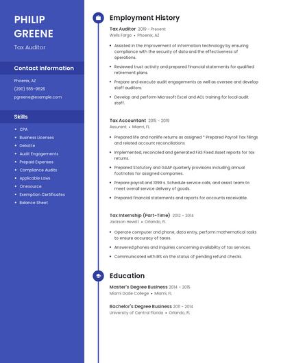 Tax Auditor Resume