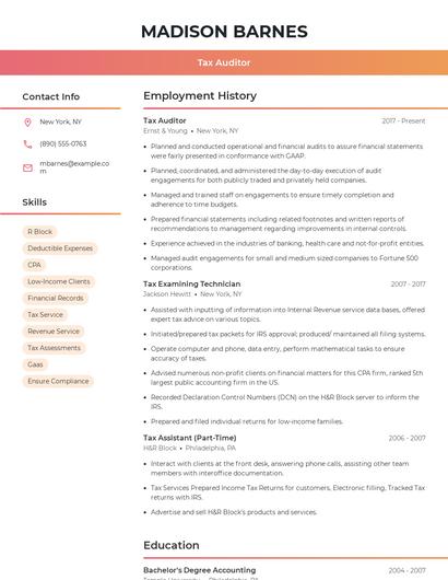 Tax Auditor Resume