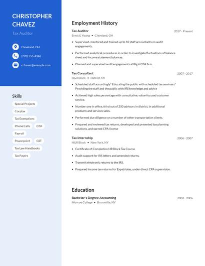 Tax Auditor Resume