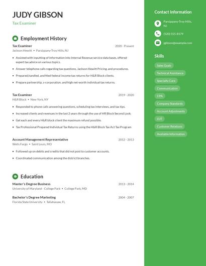 Tax Examiner Resume