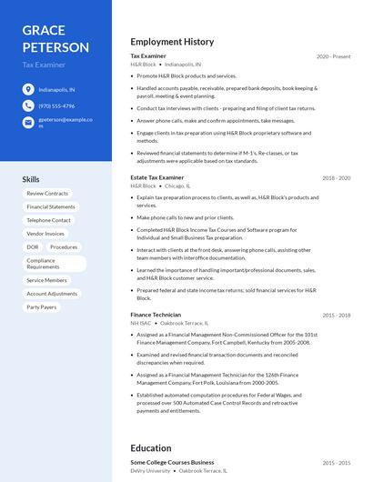 Tax Examiner Resume