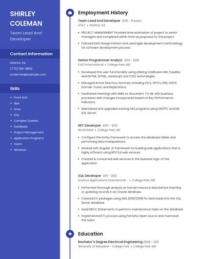 Team Lead And Developer Resume