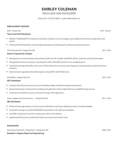 Team Lead And Developer Resume