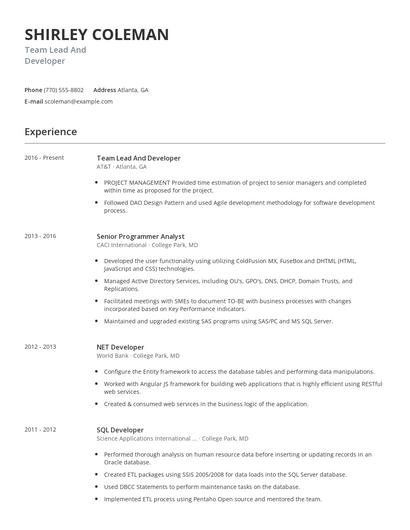 Team Lead And Developer Resume