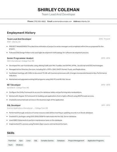 Team Lead And Developer Resume