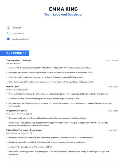 Team Lead And Developer Resume