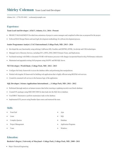 Team Lead And Developer Resume