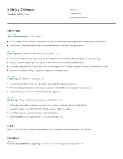 Team Lead And Developer Resume