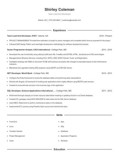 Team Lead And Developer Resume