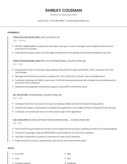Team Lead And Developer Resume