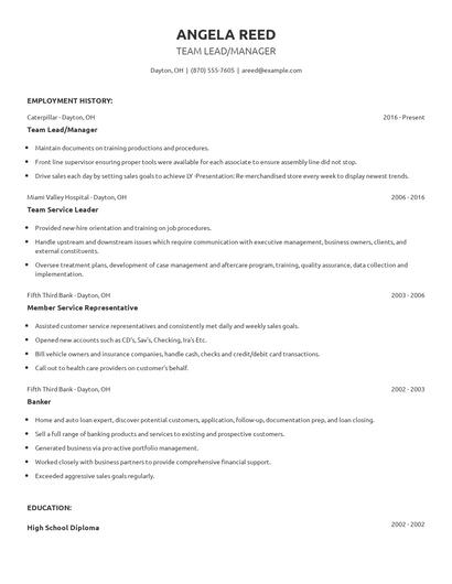 Team Lead/Manager Resume