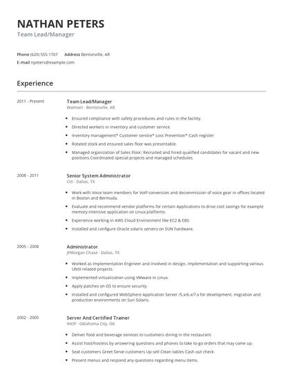 Team Lead/Manager Resume