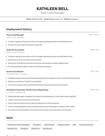 Team Lead/Manager Resume