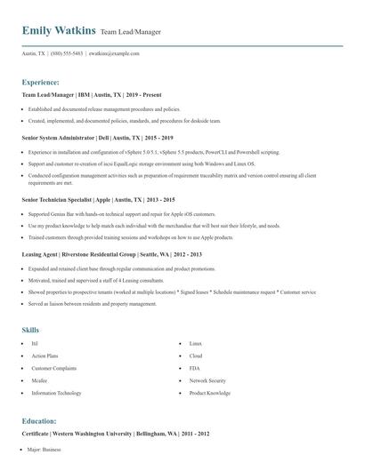Team Lead/Manager Resume