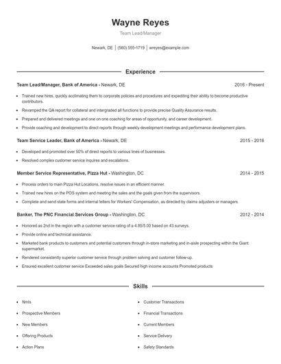 Team Lead/Manager Resume