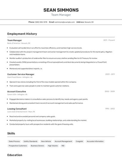 Team Manager Resume
