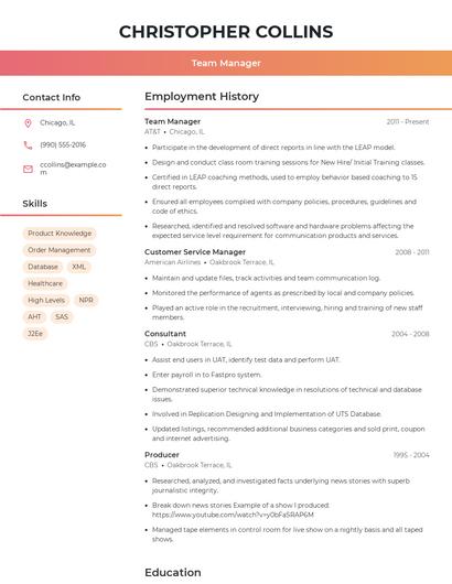 Team Manager Resume