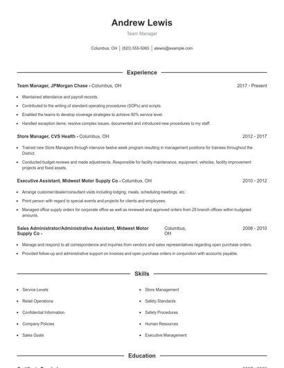 Team Manager Resume