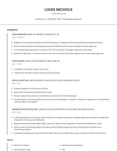 Team Manager Resume