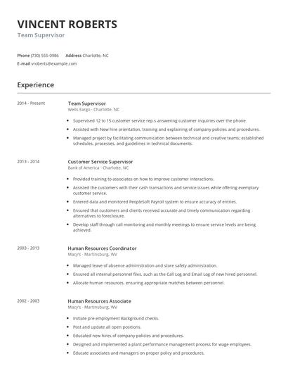 Team Supervisor Resume