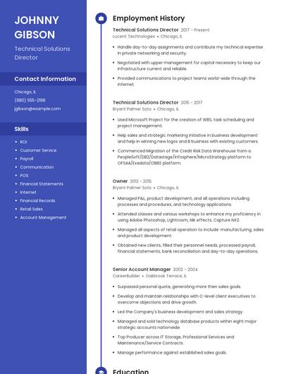 Technical Solutions Director Resume