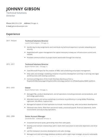Technical Solutions Director Resume