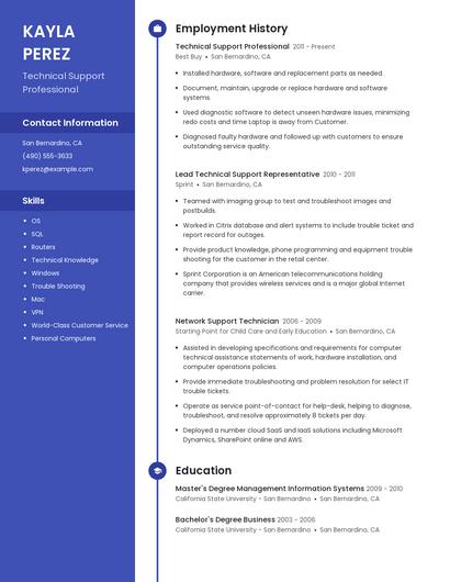 Technical Support Professional Resume