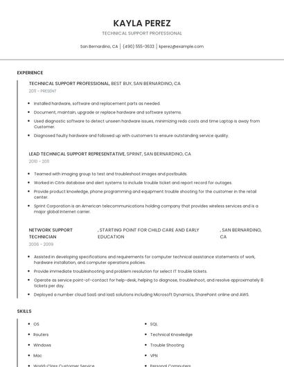 Technical Support Professional Resume