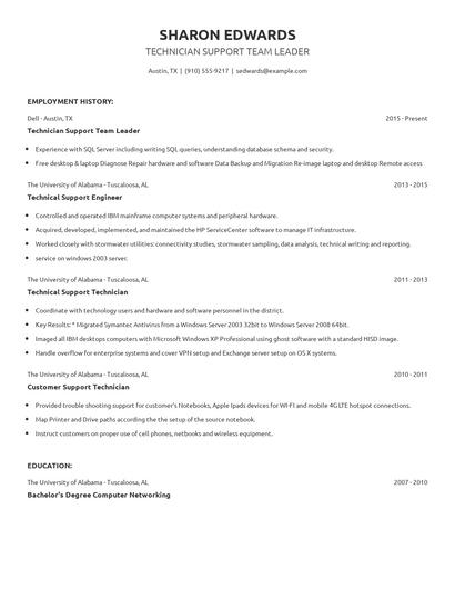 Technician Support Team Leader Resume