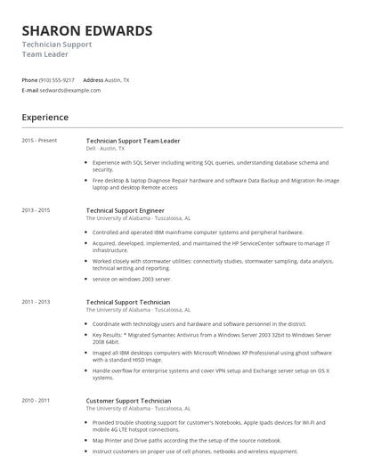 Technician Support Team Leader Resume