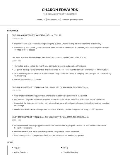 Technician Support Team Leader Resume
