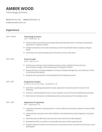 Technology Architect Resume