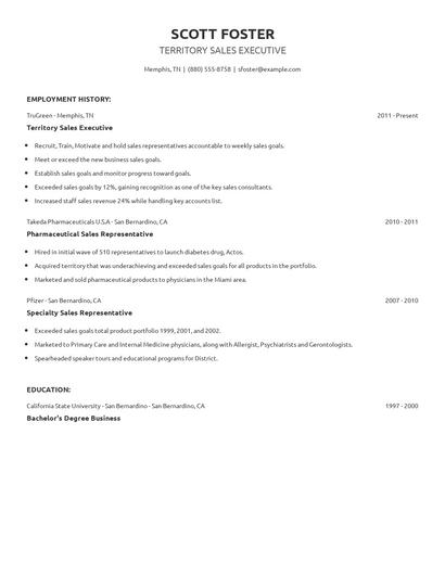 Territory Sales Executive Resume