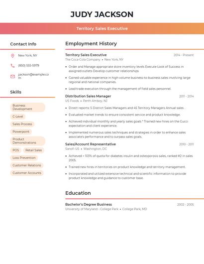 Territory Sales Executive Resume