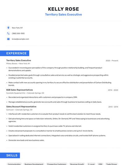Territory Sales Executive Resume