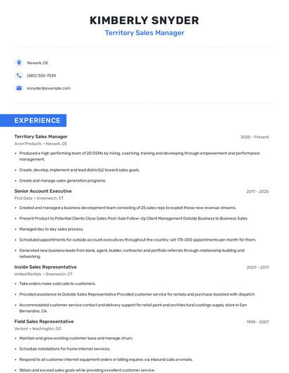 Territory Sales Manager Resume