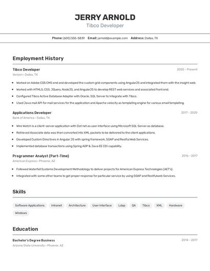 Tibco Developer Resume