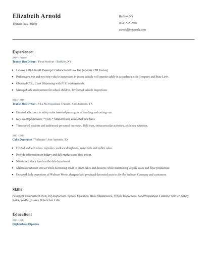 Transit Bus Driver Resume